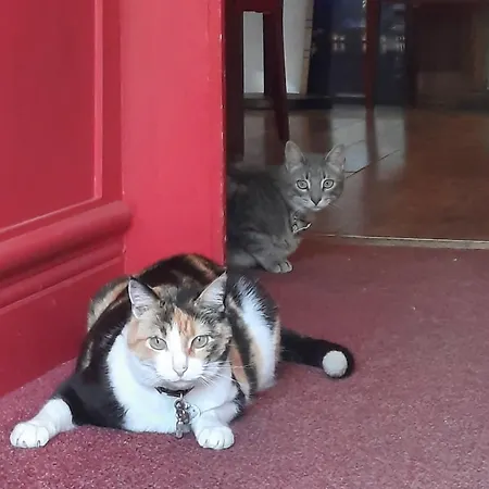 Arnaud Bernard Hotel Toulouse