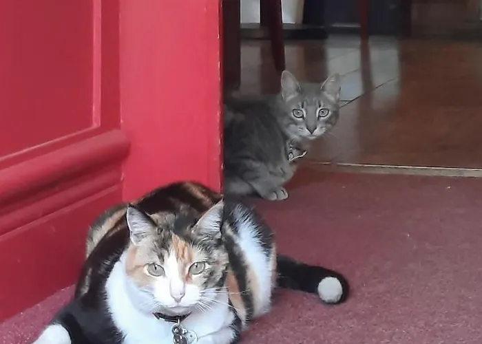 Arnaud Bernard Отель Тулуза